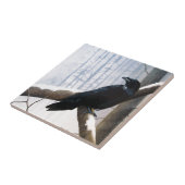 Carreau Raven Winter Messenger (Côté)