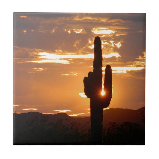 Carreau Rayons de Saguaro (Devant)