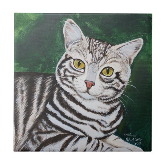Carreau Rayures, chat tigré (Devant)