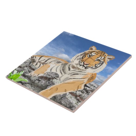 Carreau Recaler le tigre (Côté)