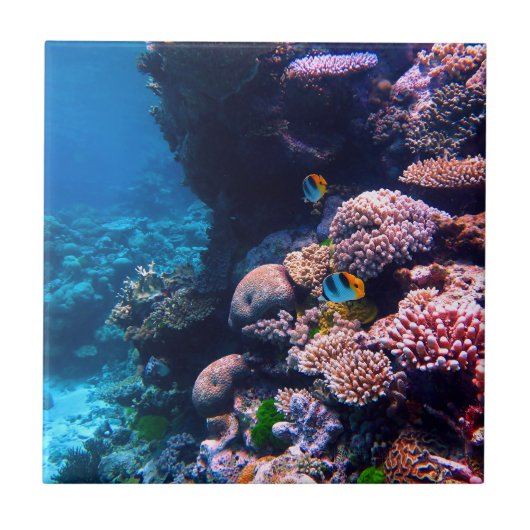 Carreau Récif coralien tropical coloré (Devant)