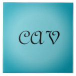 Carreau Recoleta Cornflower Bleu<br><div class="desc">Cette belle couverture bleue de fleurs de maïs vous gardera au chaud quand vous êtes bleu. Il peut également être personnalisé pour en faire votre propre couverture unique</div>