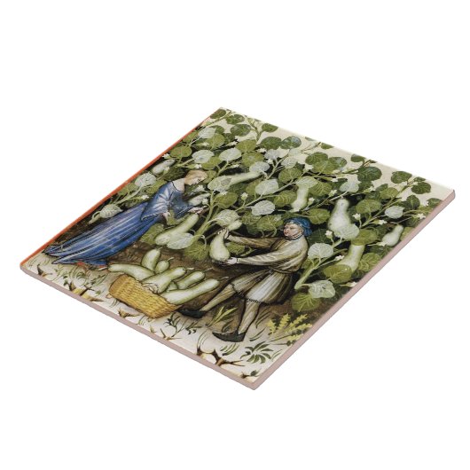 CARREAU RÉCOLTE ANTIQUE SQUASH (Côté)