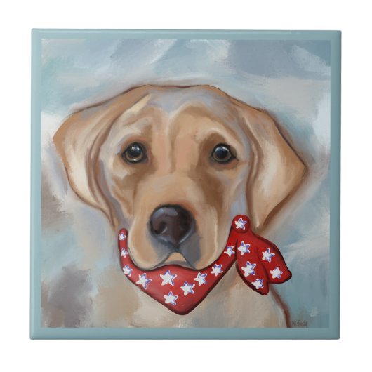 CARREAU RÉCUPÉRATION DE LABRADOR (Devant)