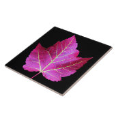Carreau Red Autumn Maple Leaf on Black Background (Côté)