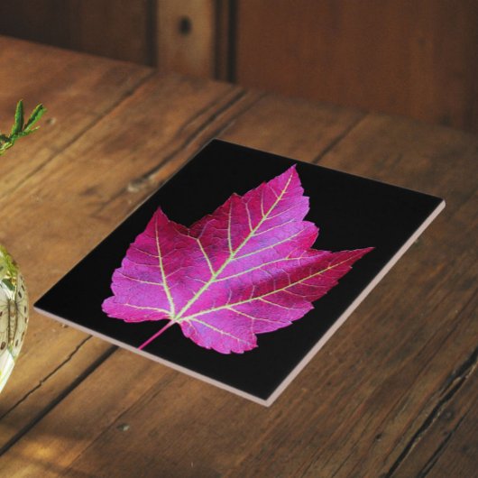 Carreau Red Autumn Maple Leaf on Black Background
