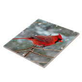 Carreau Red Cardinal (Côté)