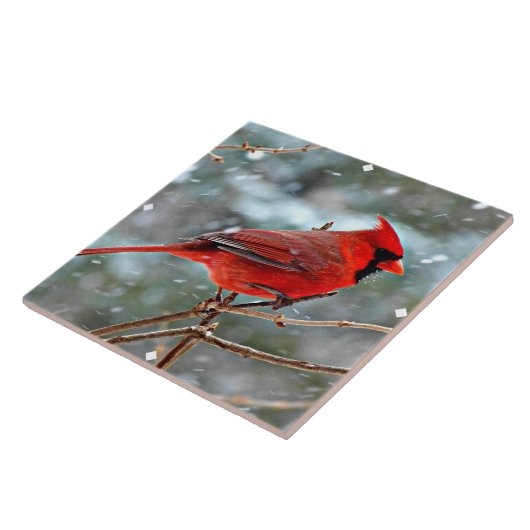 Carreau Red Cardinal (Côté)