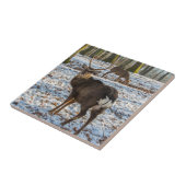 Carreau Red Deer en neige (Côté)