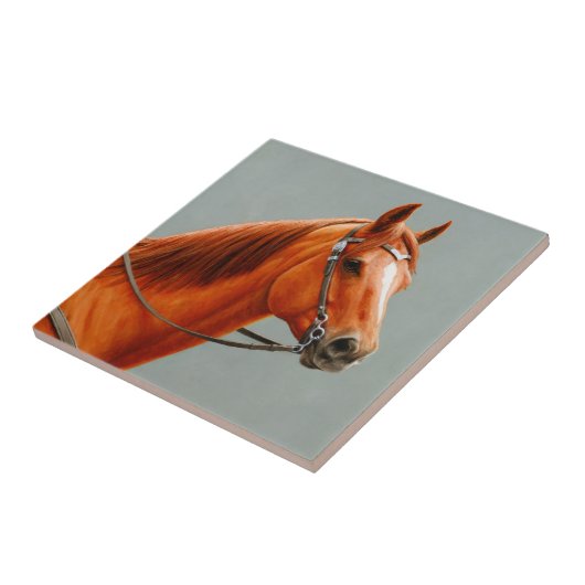 Carreau Red Dun Chestnut (Côté)