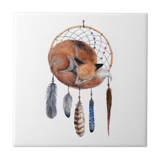 Carreau Red Fox dormant sur Dreamcatcher (Devant)