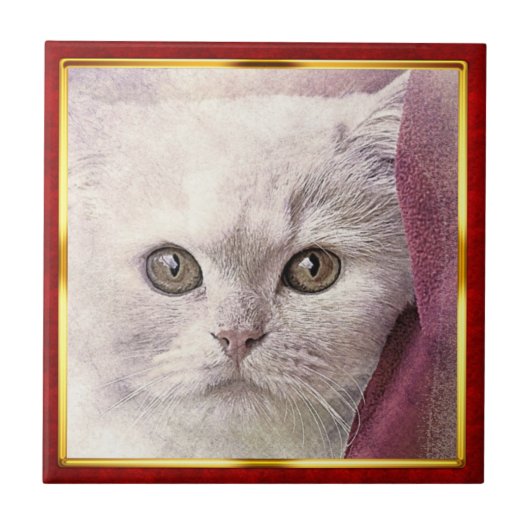 Carreau Red & Gold Framed Abstract Cat Print (Devant)