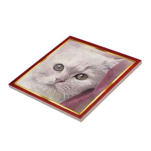 Carreau Red & Gold Framed Abstract Cat Print (Côté)