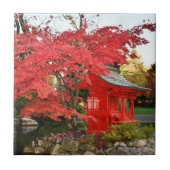 Carreau Red Japanese Maple and Garden Shrine (Devant)