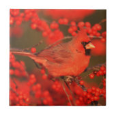 Carreau Red Northern Cardinal (Devant)