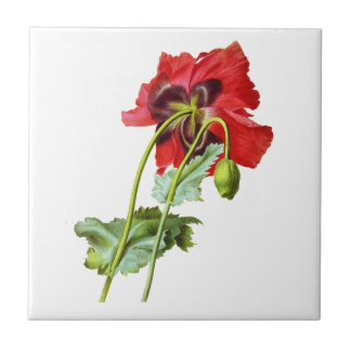 Carreau Red Opium Poppy par Pierre Joseph Redoute