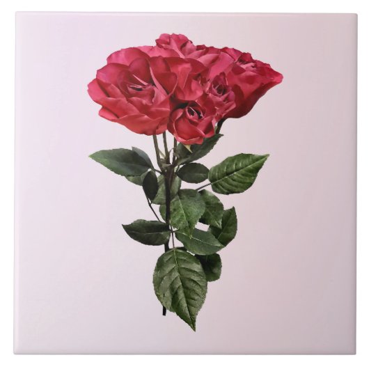 Carreau Red Roses and Leaves (Devant)