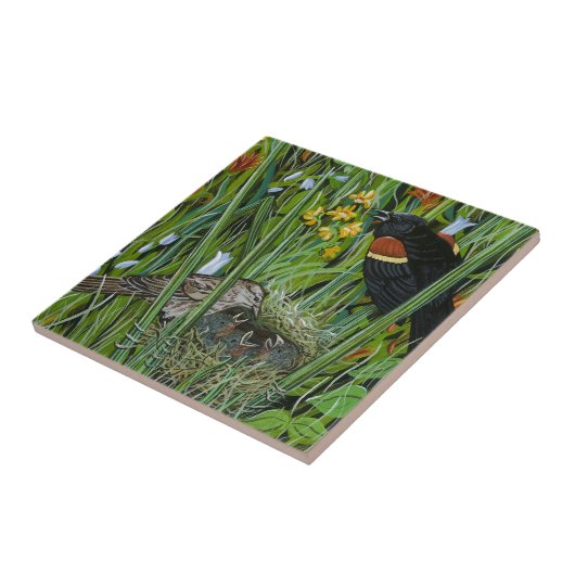 Carreau Red Wing Blackbird (Côté)