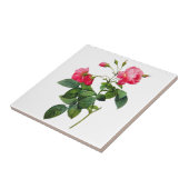 Carreau Redoute Roses (Côté)