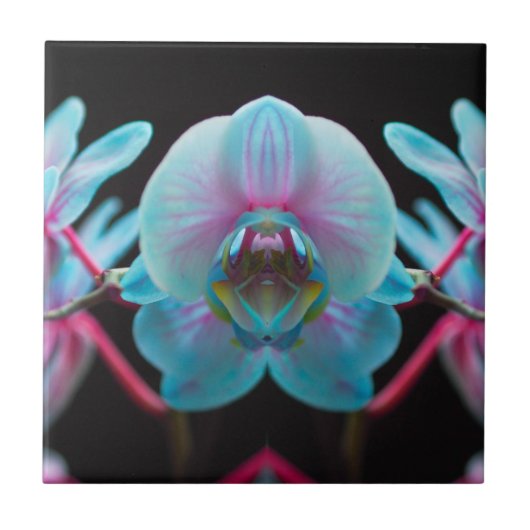 Carreau Réflection de l'orchid bleu exotic (Devant)