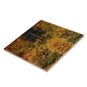 Carreau Reflet d'automne sur l'étang Coffin (Côté)