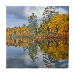 Carreau Reflets d'étang en automne, Maine