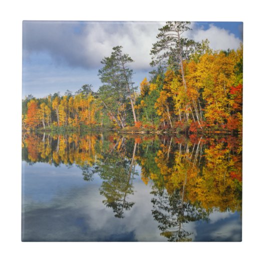 Carreau Reflets d'étang en automne, Maine (Devant)