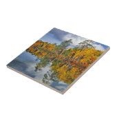 Carreau Reflets d'étang en automne, Maine (Côté)