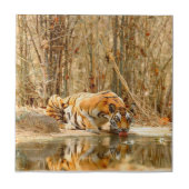 Carreau Réflexion du tigre (Devant)