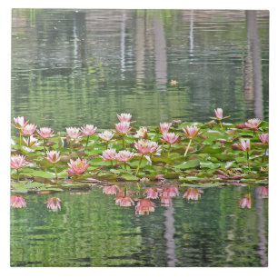 CARREAU RÉFLEXIONS DE LOTUS BLOSSOMS/POND DE ROSE DE