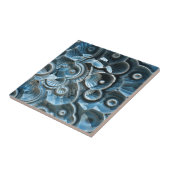 Carreau Réflexions d'un fossile fragile (Côté)