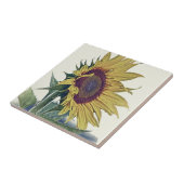 Carreau Regard minable original de vieille école de (Côté)