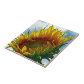 Carreau Regard sur le soleil (Côté)