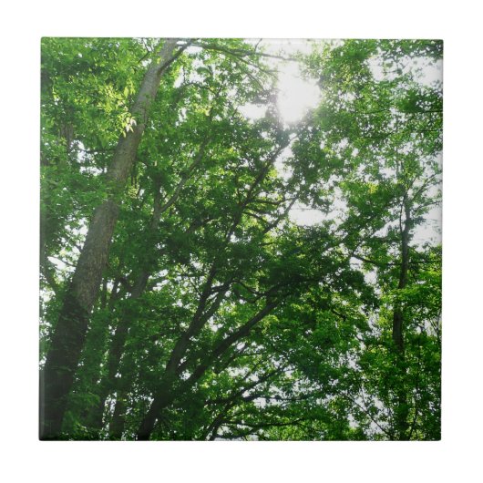 Carreau Regard sur les arbres d'été (Devant)