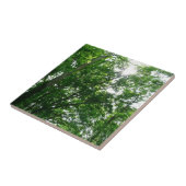 Carreau Regard sur les arbres d'été (Côté)