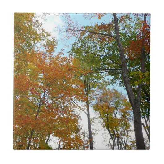 Carreau Regard sur les feuilles d'automne I Colorful Fall  (Devant)