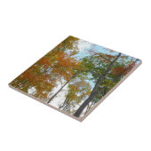 Carreau Regard sur les feuilles d'automne I Colorful Fall  (Côté)