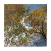 Carreau Regard sur les feuilles d'automne II Automne Natur (Devant)