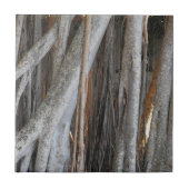 Carreau Regardant à travers l'arbre de Banyan (Devant)
