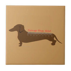 Carreau Règle des chiens de saucisse