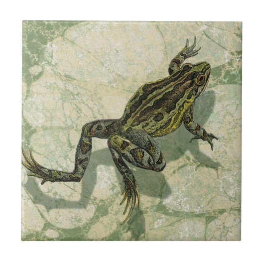 Carreau Remonter le crapaud dans l'eau (Devant)