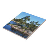 Carreau Remorque suédoise (Côté)