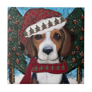 Carreau Renard américain 