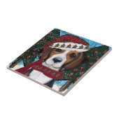 Carreau Renard américain  (Côté)