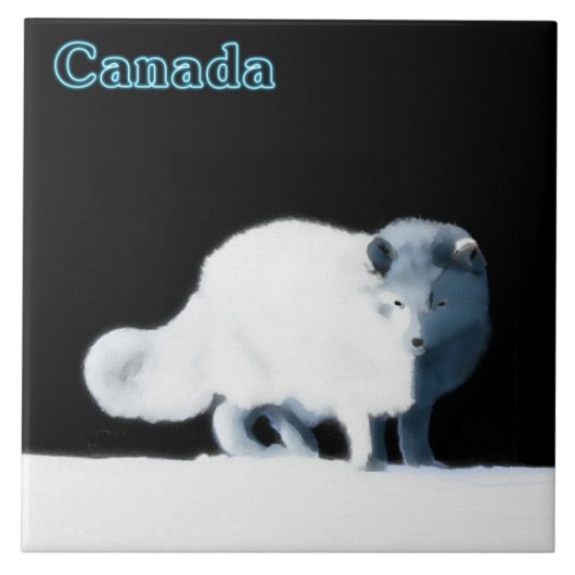 Carreau Renard arctique (Devant)