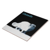 Carreau Renard arctique (Côté)