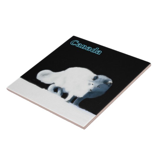 Carreau Renard arctique (Côté)