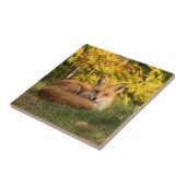 Carreau Renard d'automne     (Côté)