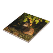 Carreau  Renard Feuilles et Ombres       (Côté)