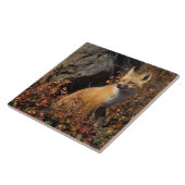 Carreau renard rouge, Vulpes vulpes (Côté)